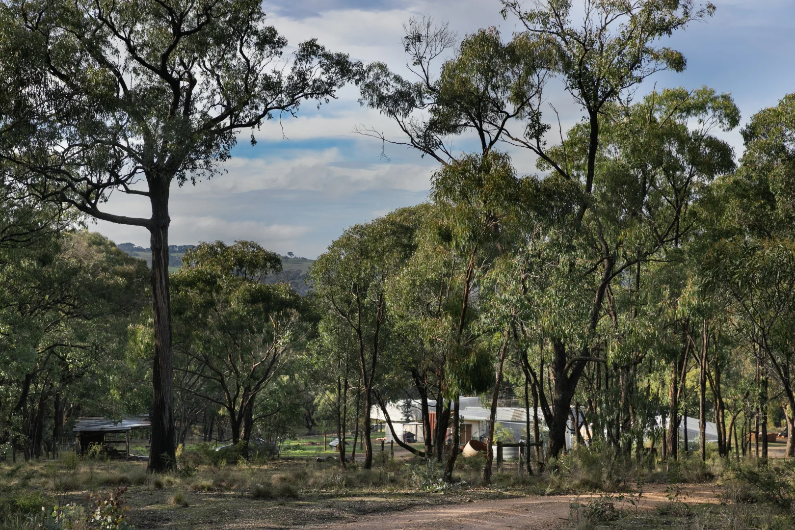 Image 14