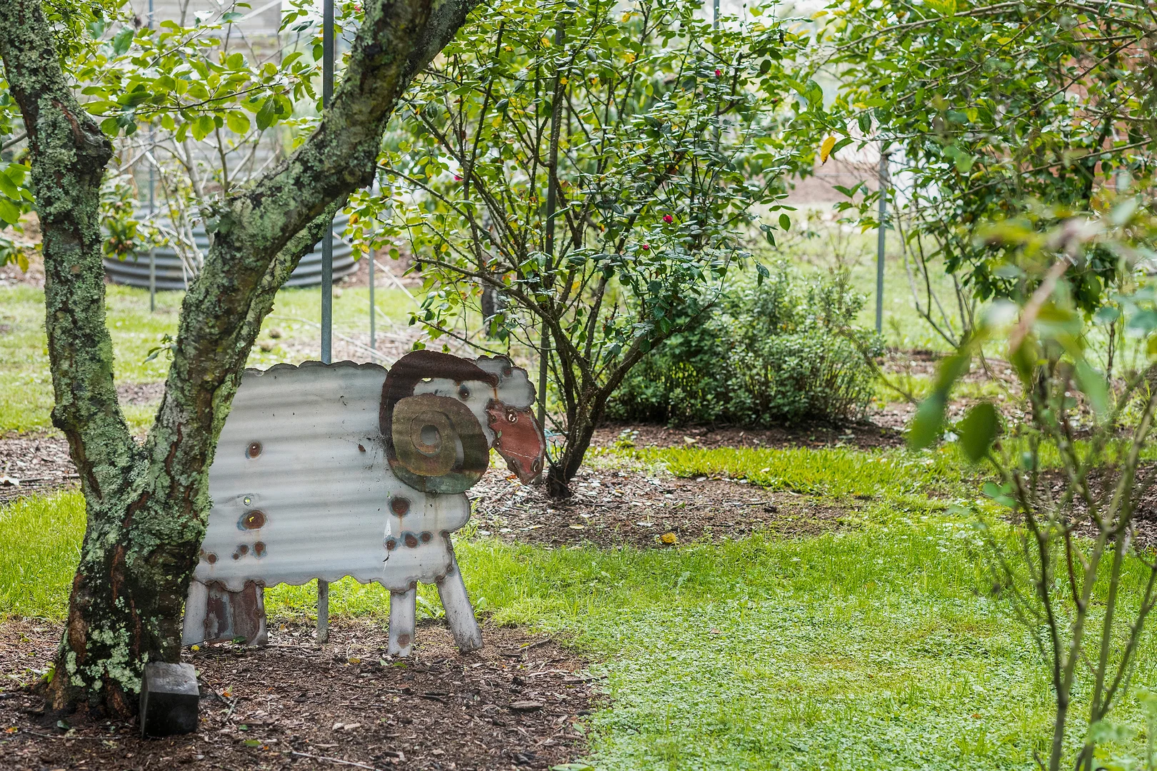 Additional image 17 of 925 Penrose Road, Penrose NSW 2579