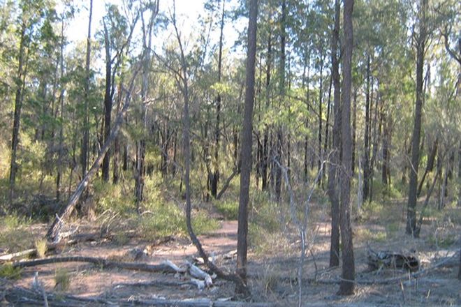 Picture of Lot 56, 0 Crosbies Road, GORANBA QLD 4421