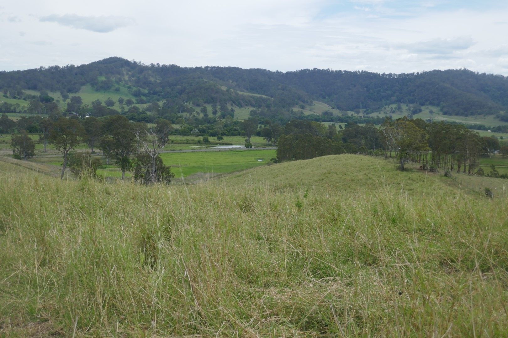 LOT 1 Summerland Way, Kyogle NSW 2474, Image 2