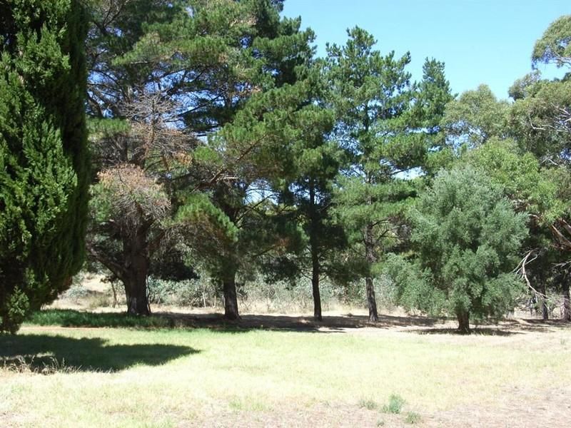 Lot 12 Brunato Road, BLEWITT SPRINGS SA 5171, Image 2