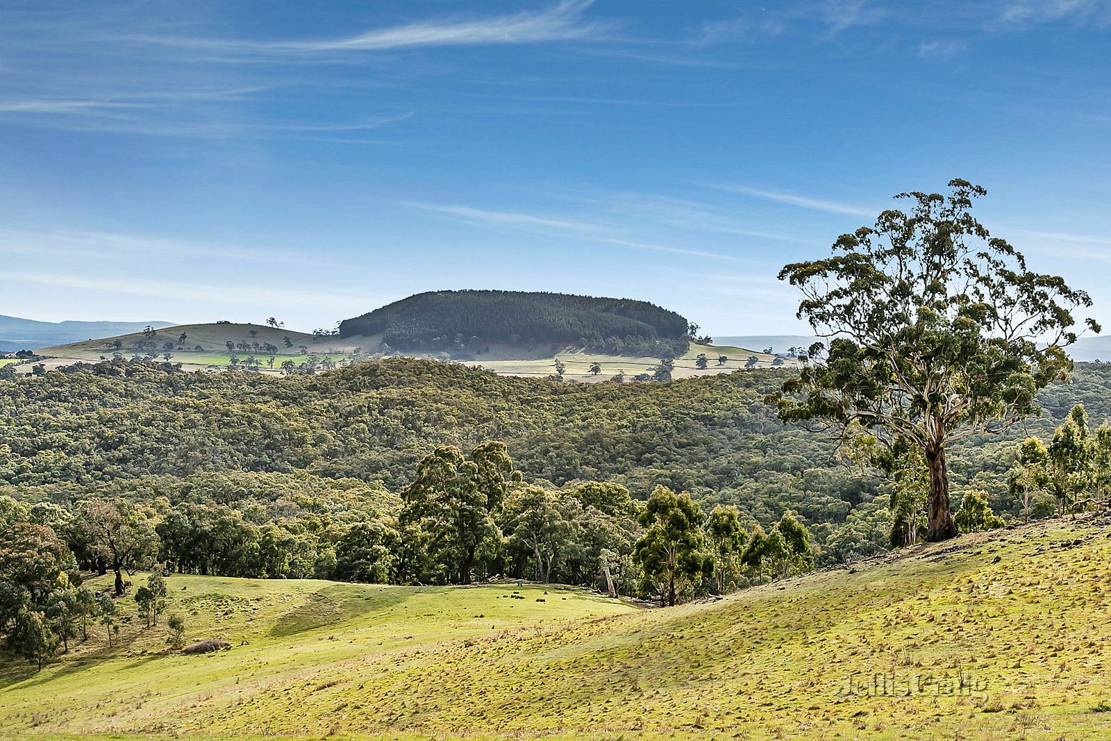 120 Mannings Road, Hepburn Springs VIC 3461, Image 0