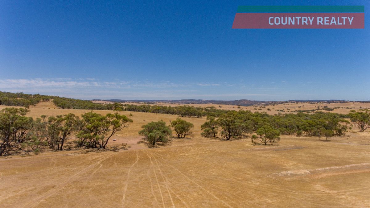 Lot 302 Toodyay-Goomalling Road, Toodyay WA 6566, Image 0