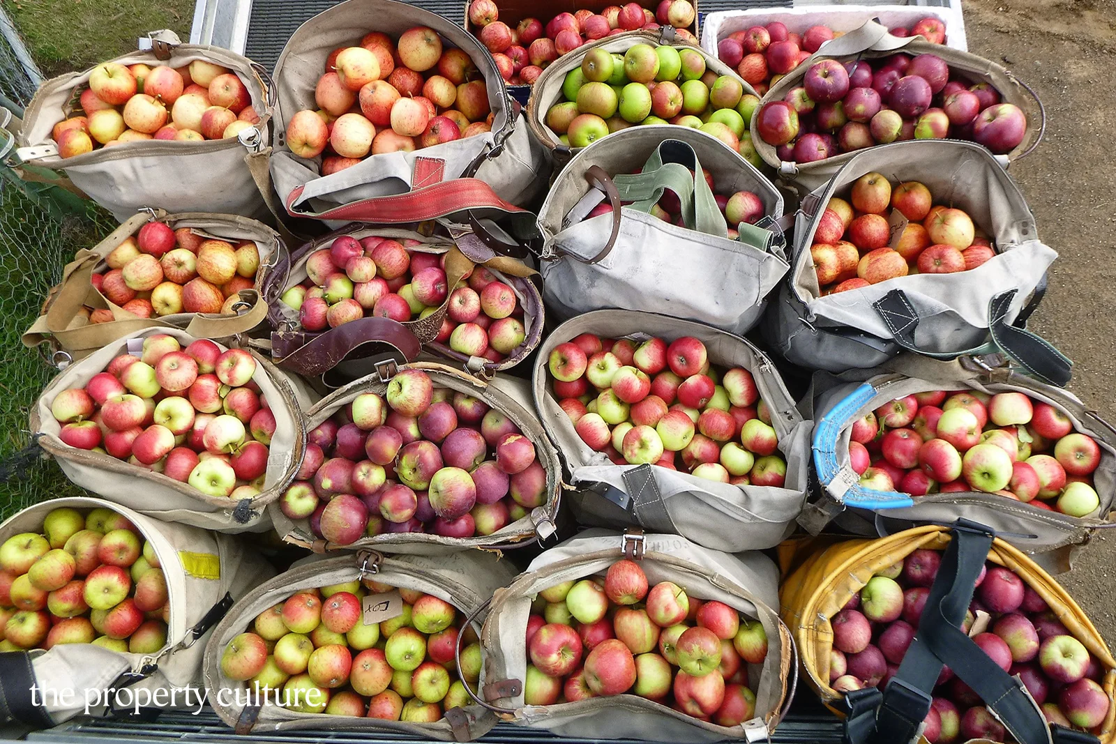 Additional image 23 of 25 Triffets Lane, Castle Forbes Bay TAS 7116