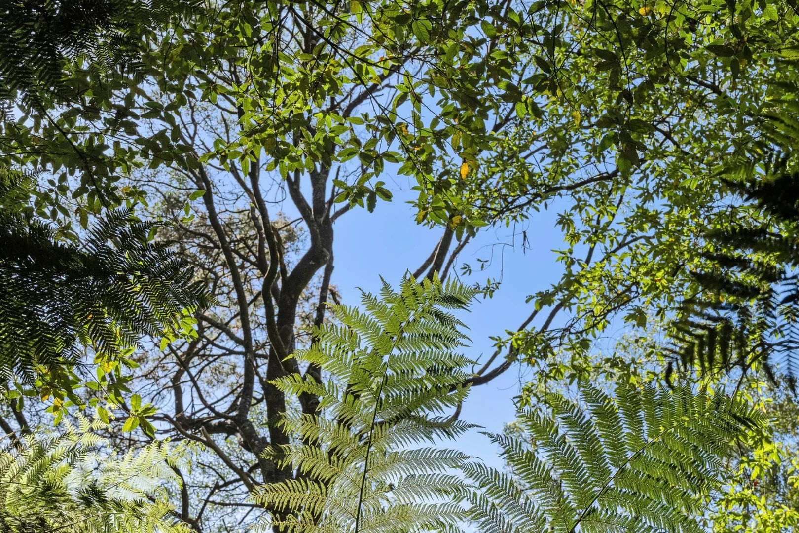 Image 37