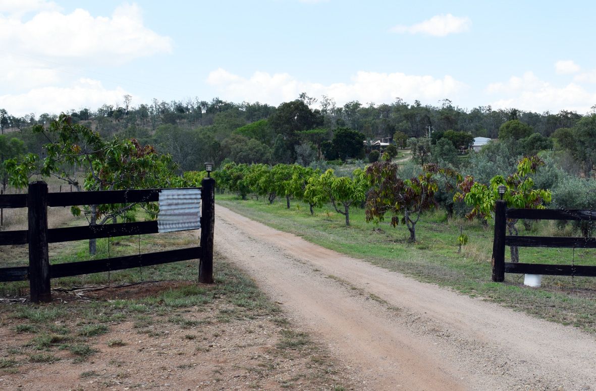 16232 Burnett Highway, Gayndah QLD 4625, Image 0