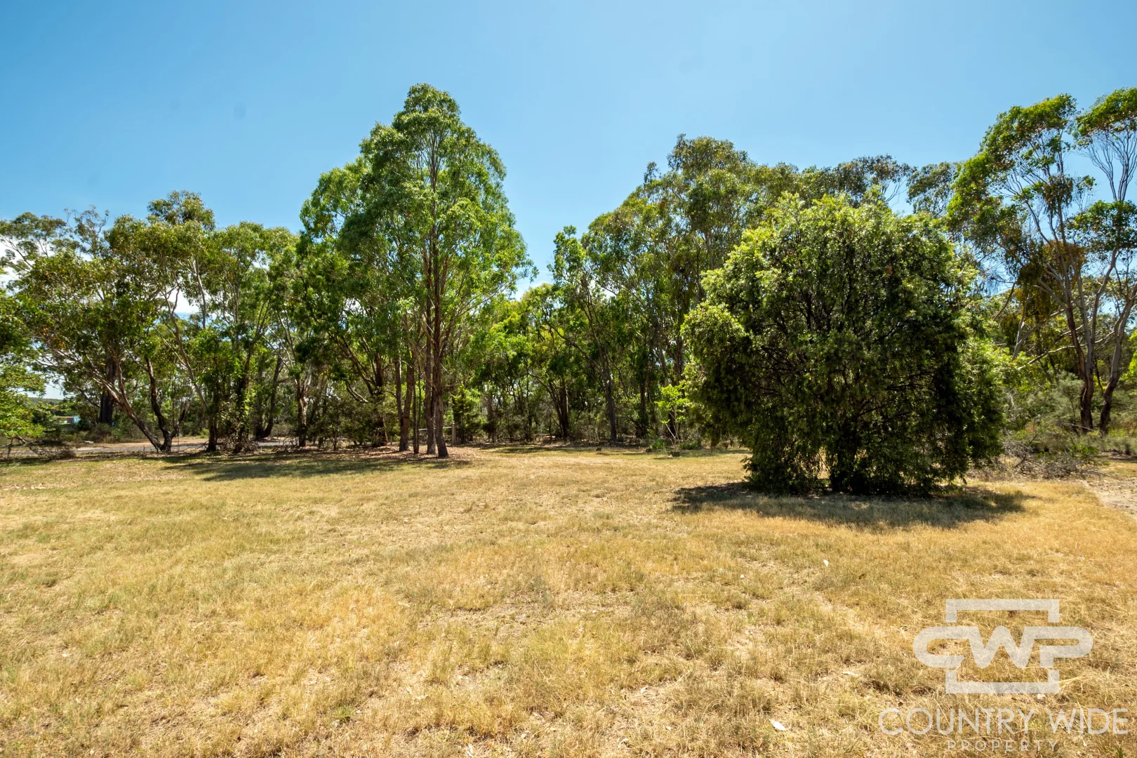 Additional image 11 of 3 Clifford Avenue, Emmaville NSW 2371