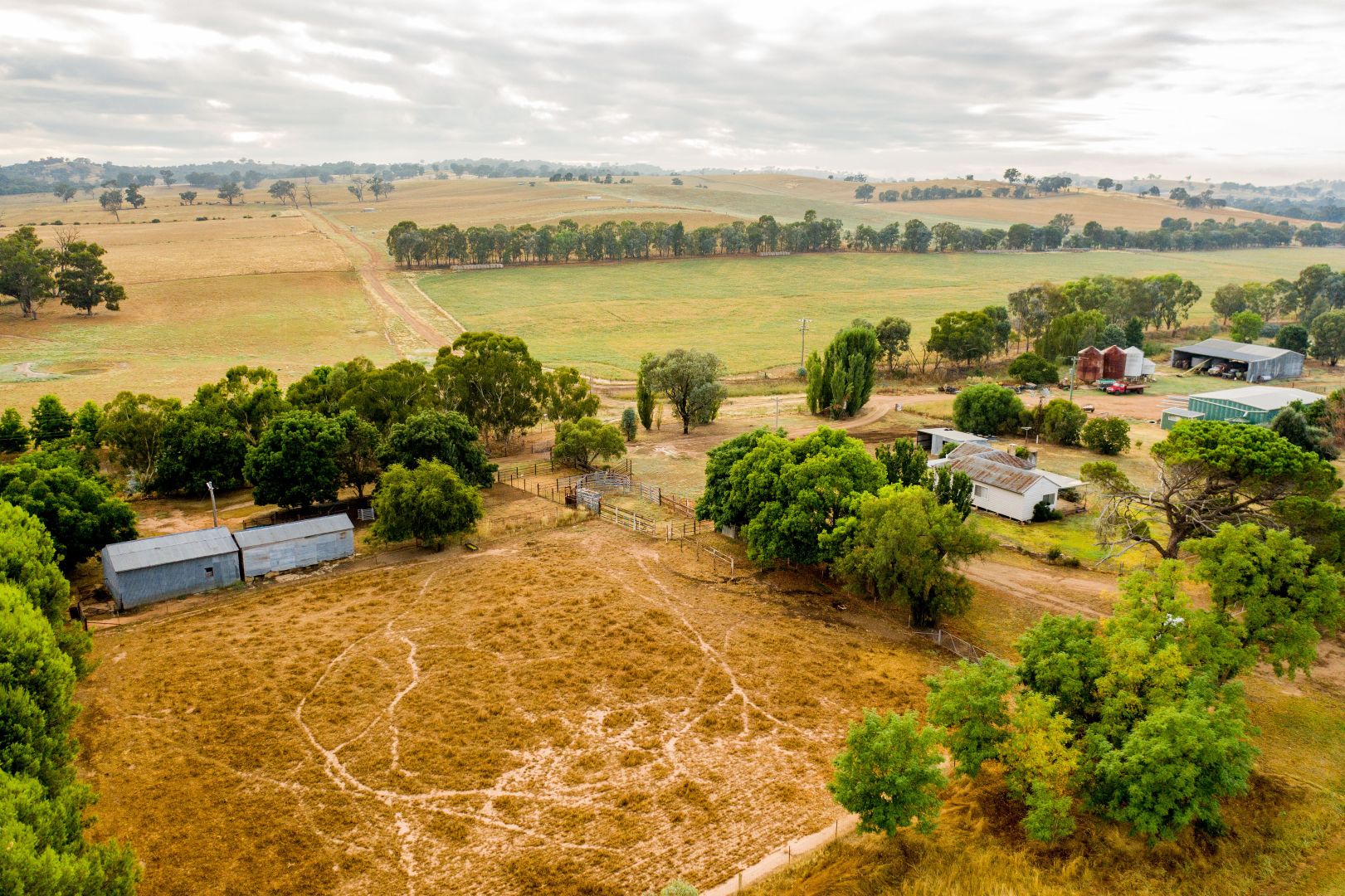 1072 MATES GULLY ROAD, Wagga Wagga NSW 2650, Image 2