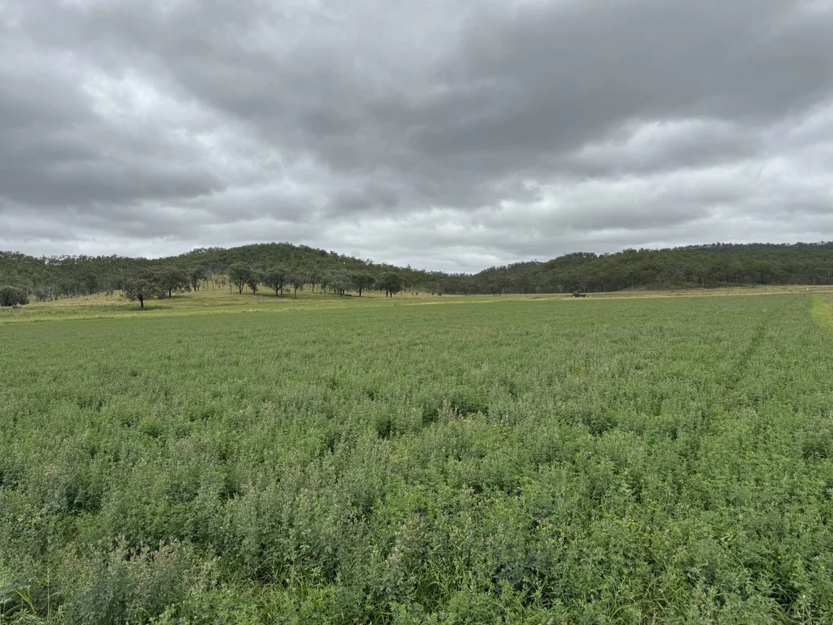 Additional image 16 of 1609 Monal Road, Monto QLD 4630