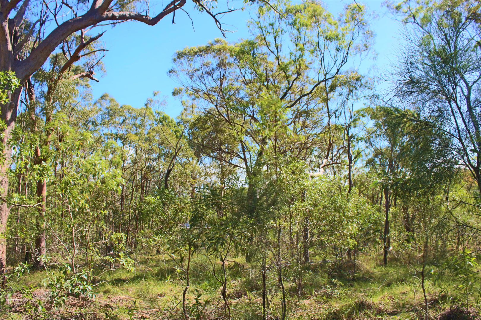 Bills Road, Agnes Water QLD 4677, Image 2