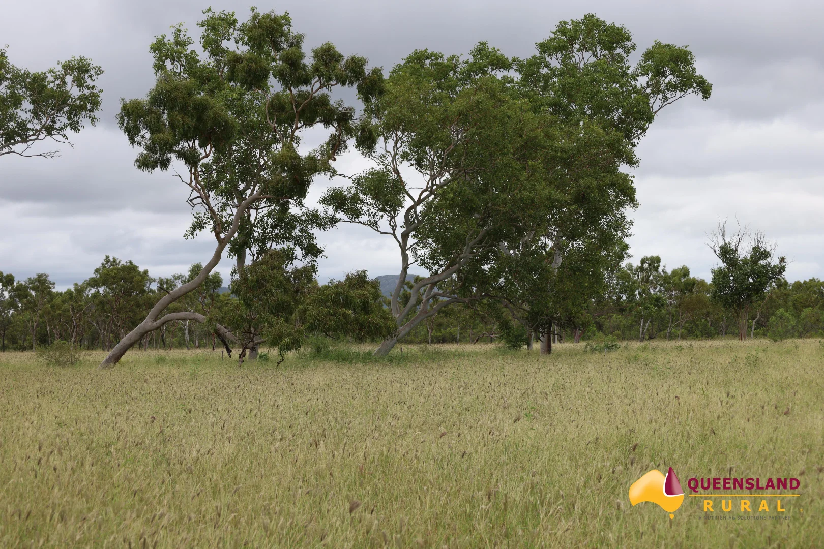 Additional image 10 of Gumlu QLD 4805