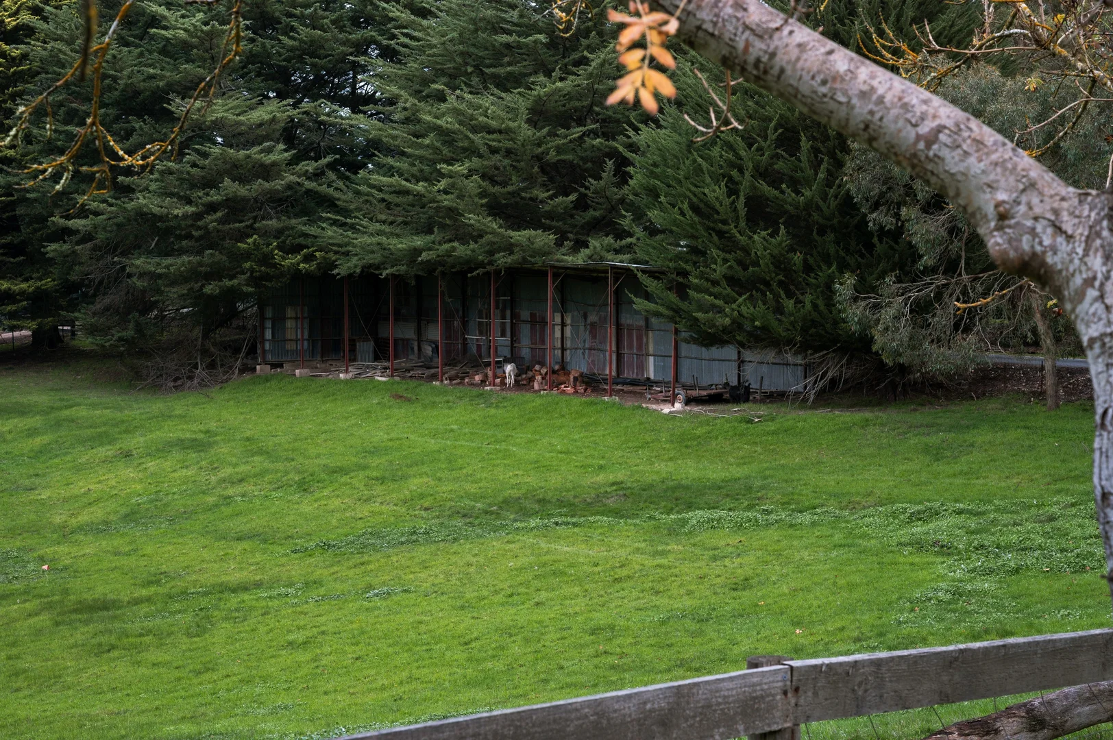 Image 30