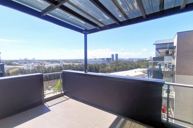 1120 Apartments For Rent In Homebush West Nsw 2140 Domain