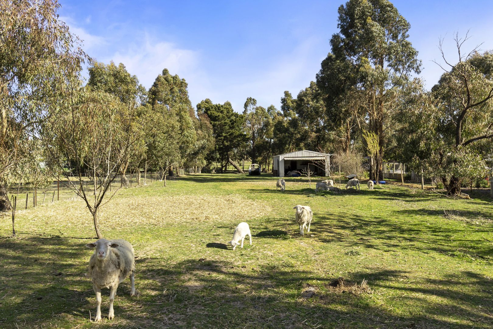 6 Smeaton Street, Smeaton Property History & Address Research Domain