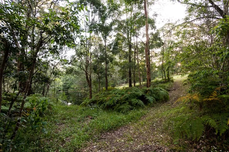 Image 21