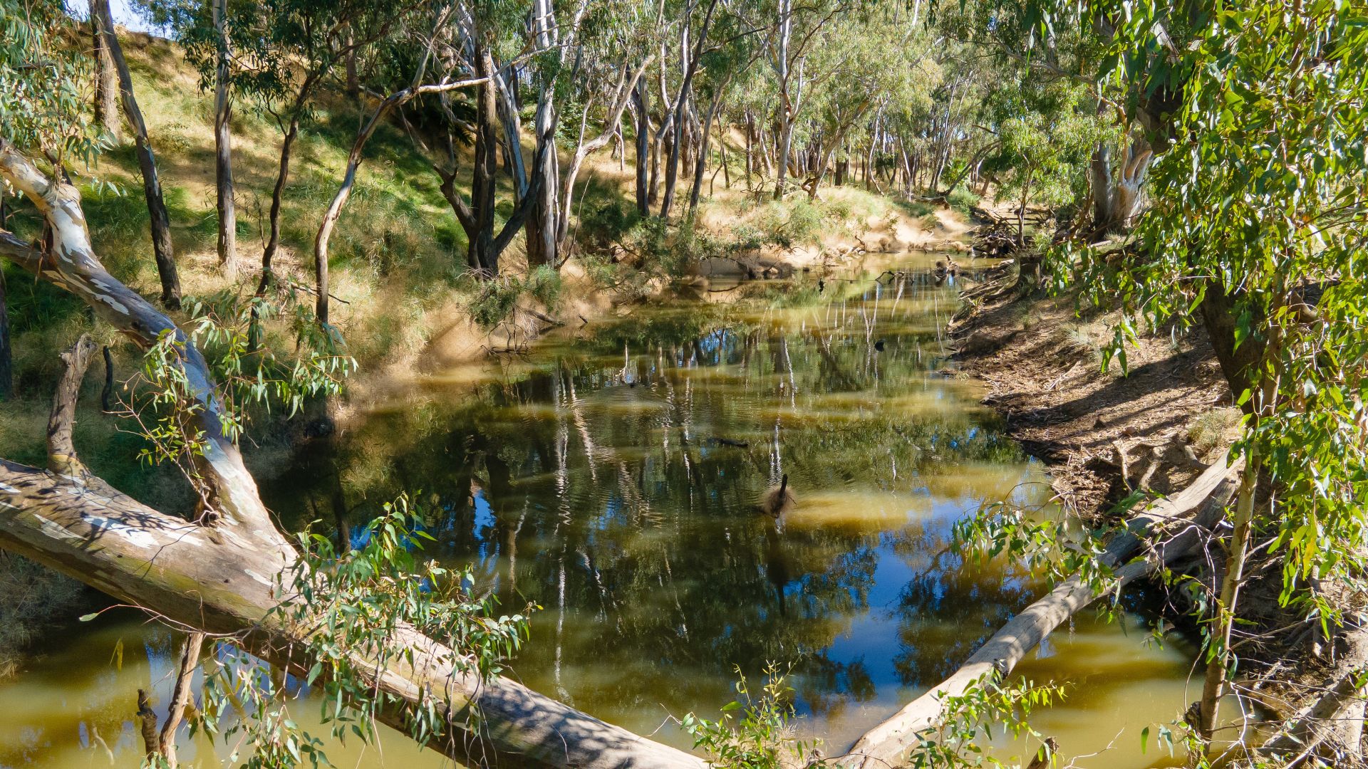 'Billabong Park'/1591 Walbundrie Rd, Walla Walla NSW 2659, Image 2