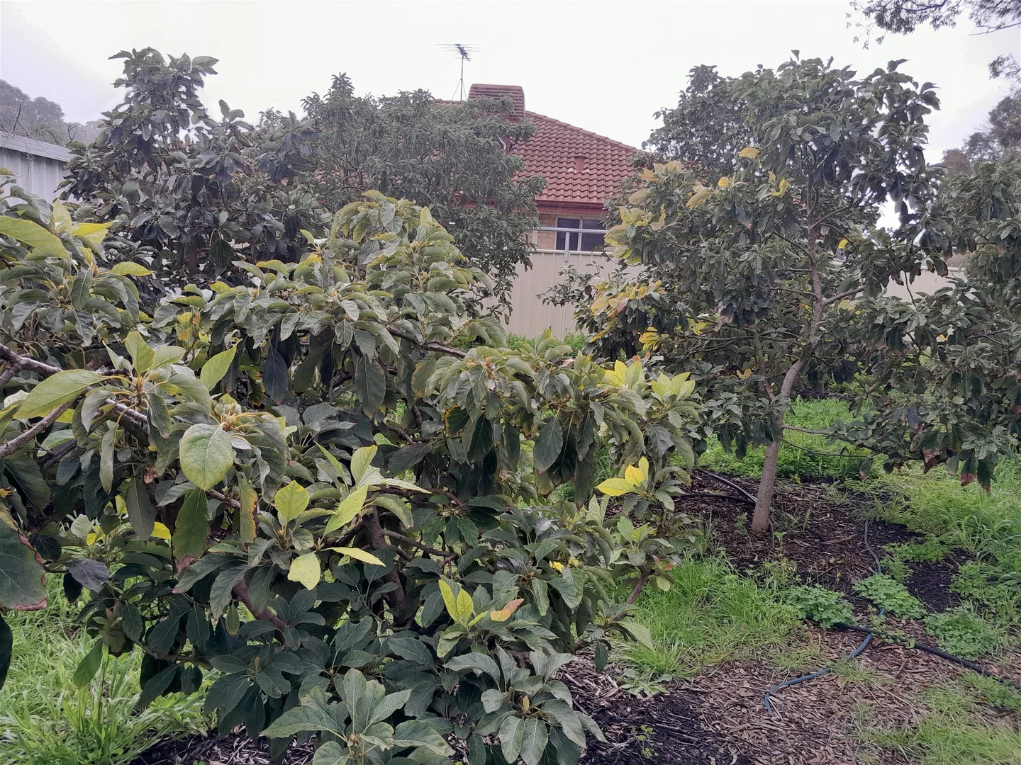 Image 14