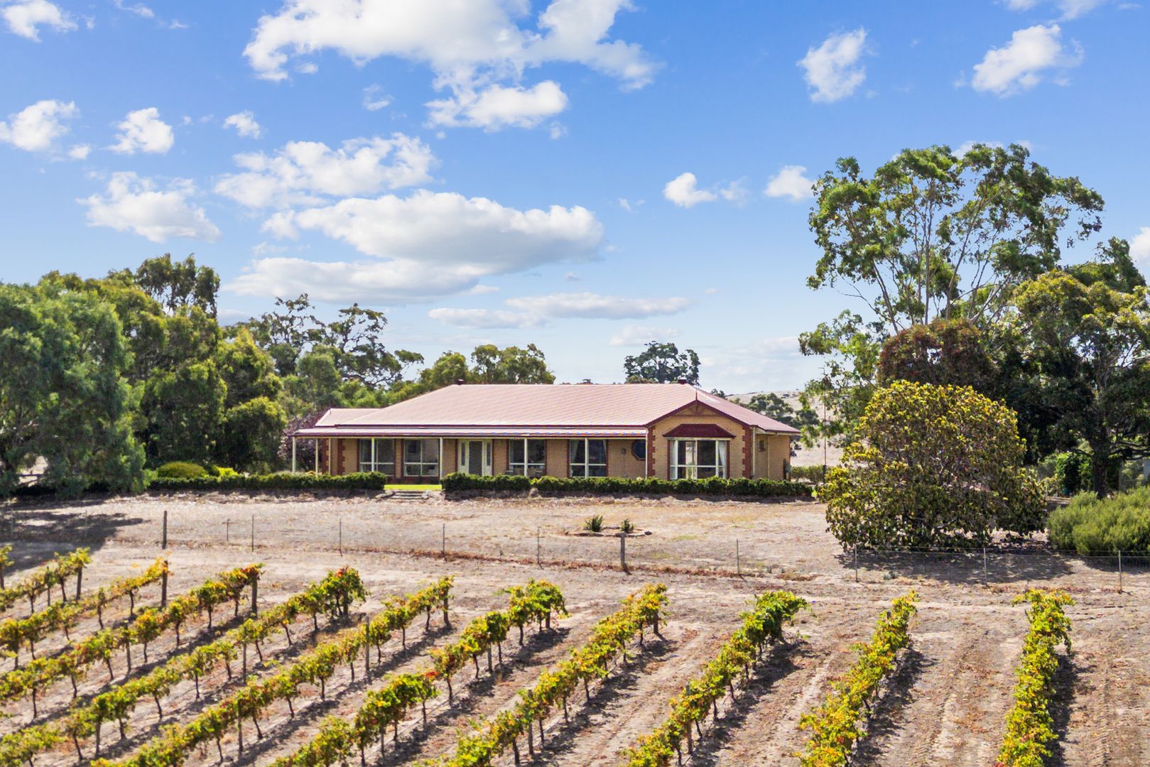 133 Rhine Park Road, Eden Valley SA 5235, Image 2