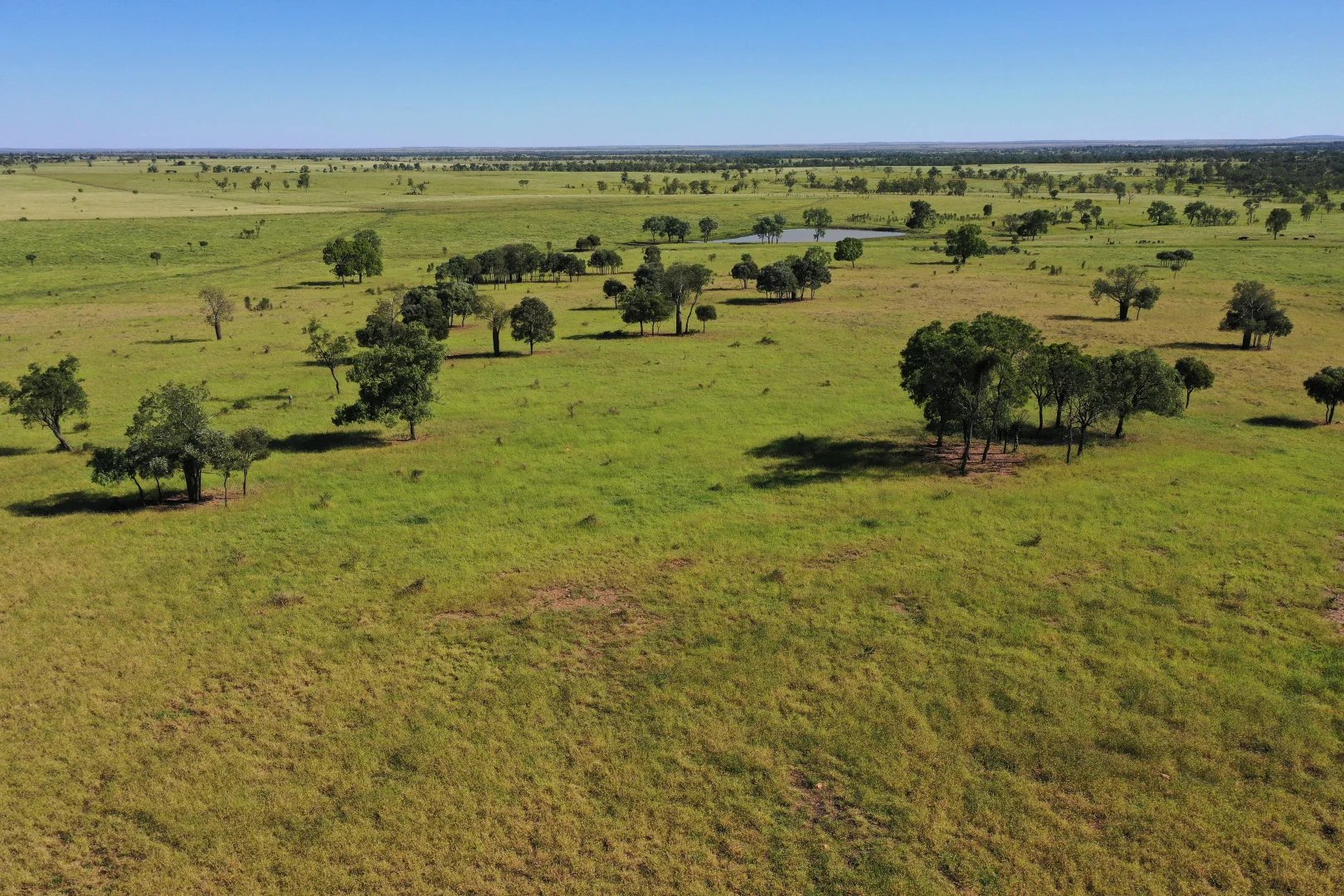 Additional image 11 of Roma QLD 4455