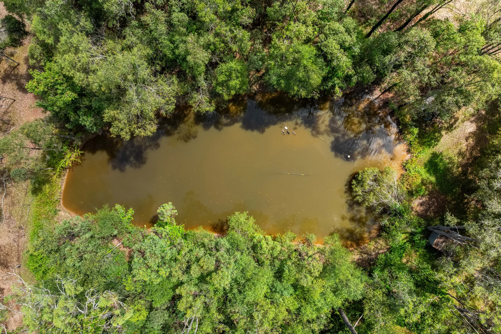 Additional image 21 of 2275 Coraki Ellangowan Road, Ellangowan NSW 2470