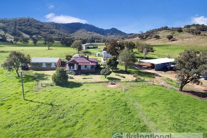 Picture of 219 Ogunbil Road, DUNGOWAN NSW 2340