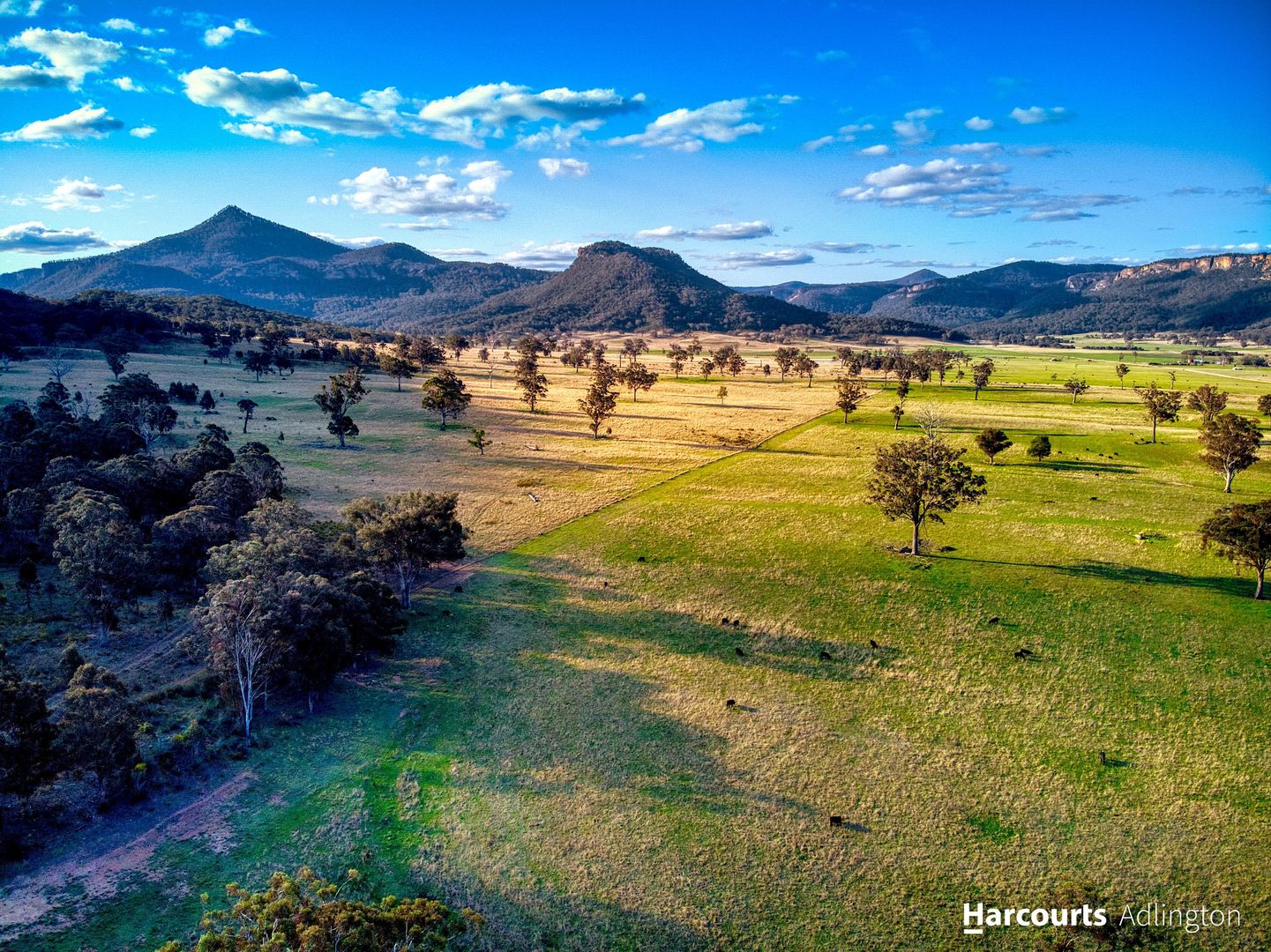 Wollemi 389 Upper Nile Road, Glen Alice NSW 2849 Specialist Farm for Sale