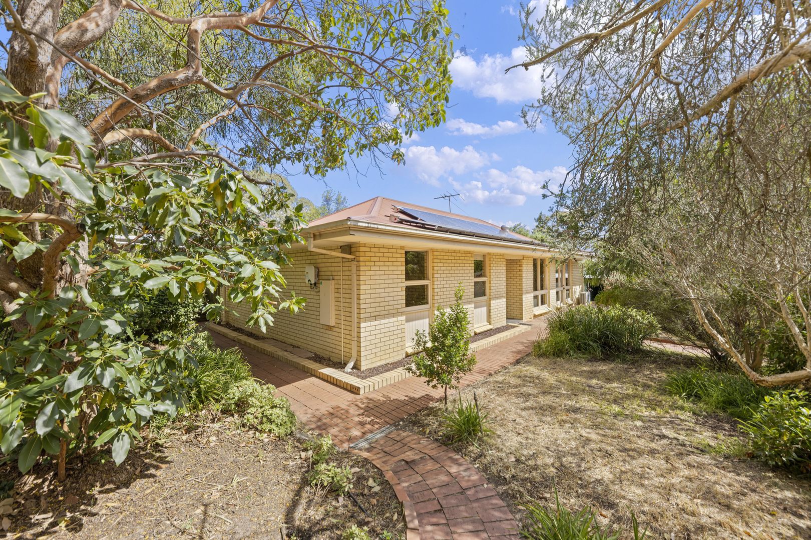 36 Waitara Road, Banksia Park SA 5091, Image 1