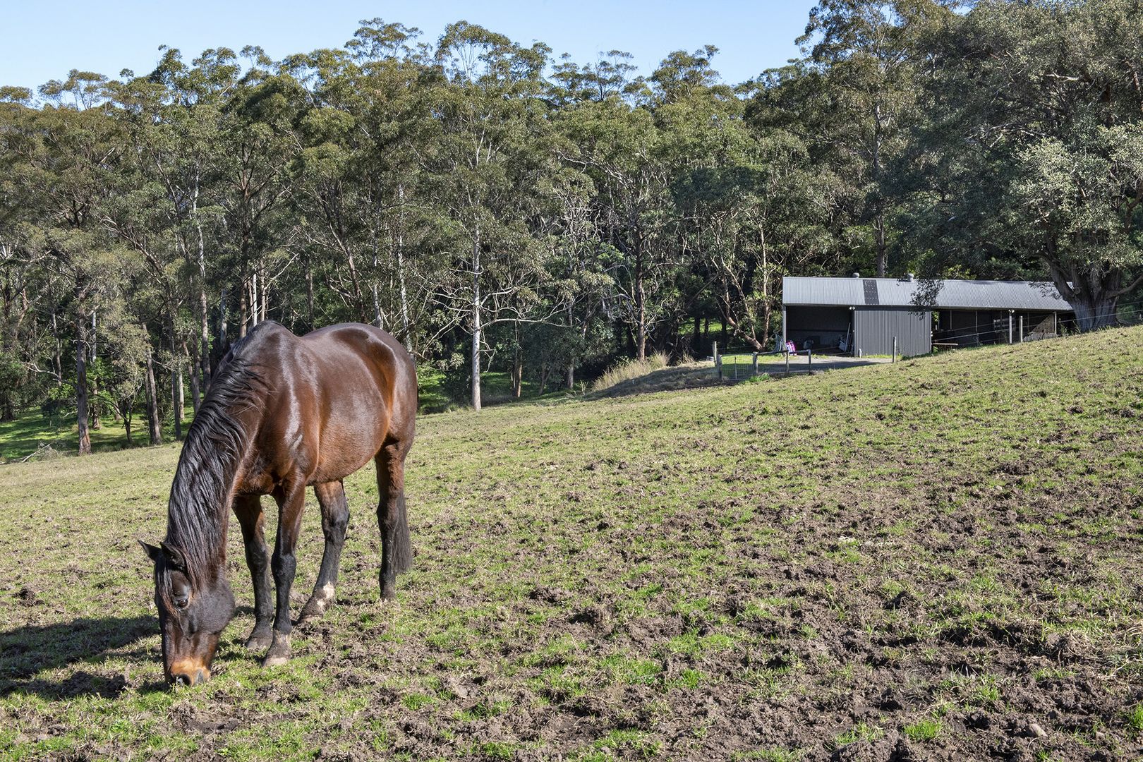 57 Byrnes Run, Curramore NSW 2533, Image 2