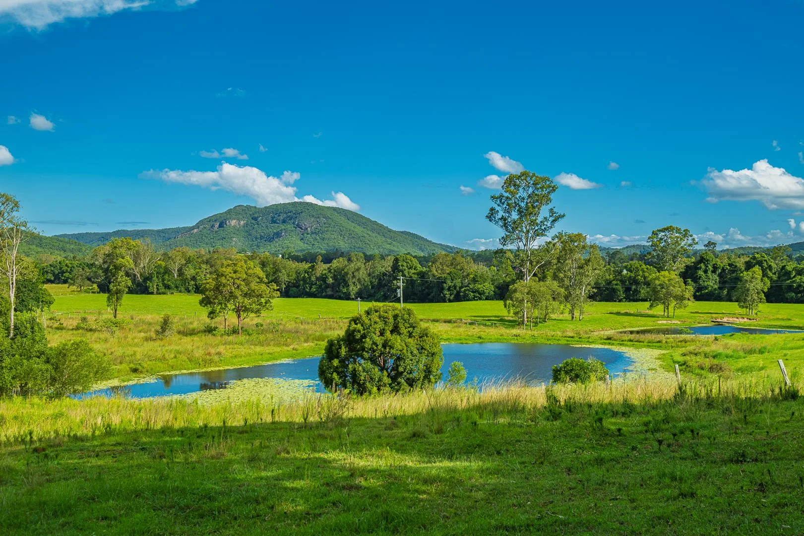 Additional image 32 of 40 McGinn Road, Gheerulla QLD 4574