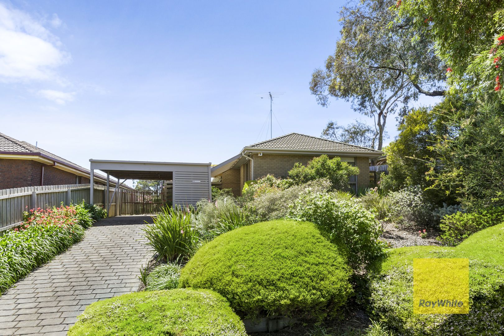 24 Allambee Avenue, Grovedale VIC 3216, Image 1