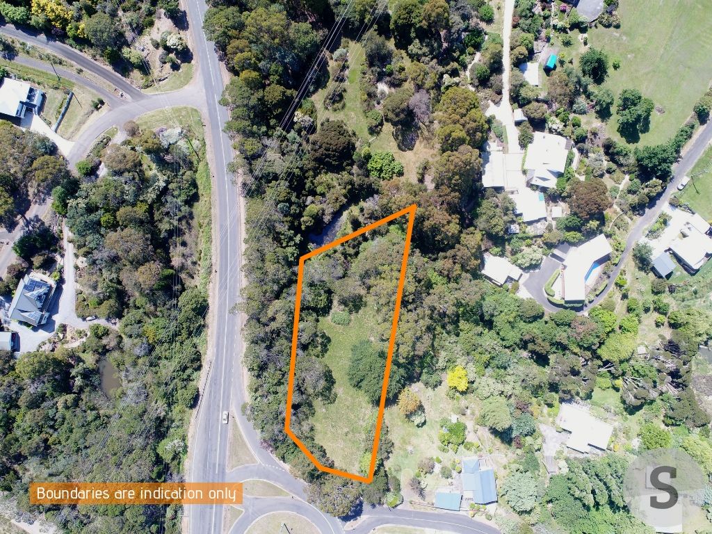 Lot 1 West Tamar Highway, Lanena TAS 7275, Image 2