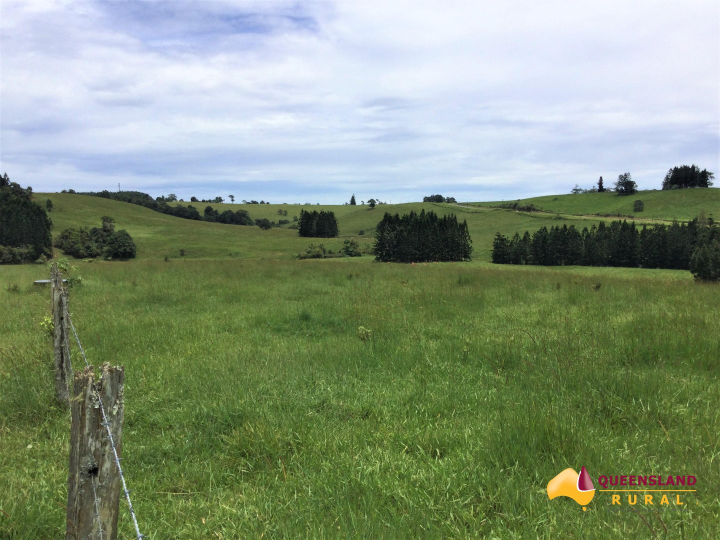 Seamark Road, Tarzali QLD 4885 House for Sale Domain