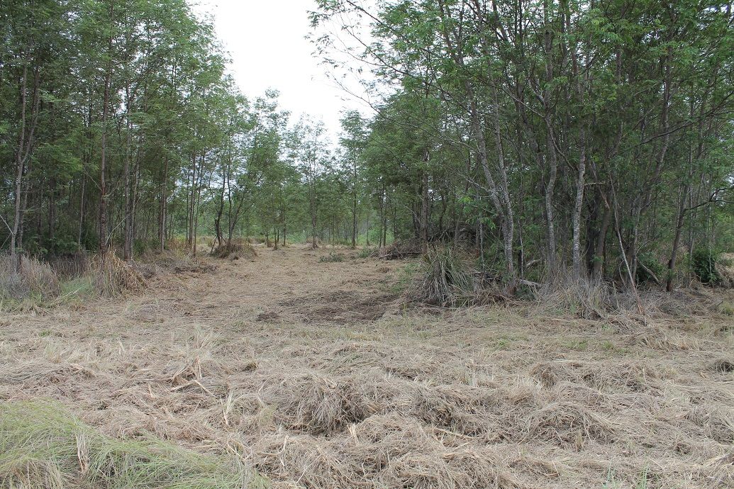 Lot 10 Martin Crescent, Benarkin North QLD 4314, Image 2