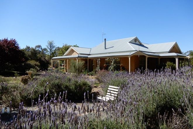 Picture of 350 Beetaloo Valley Rd, BEETALOO VALLEY SA 5523