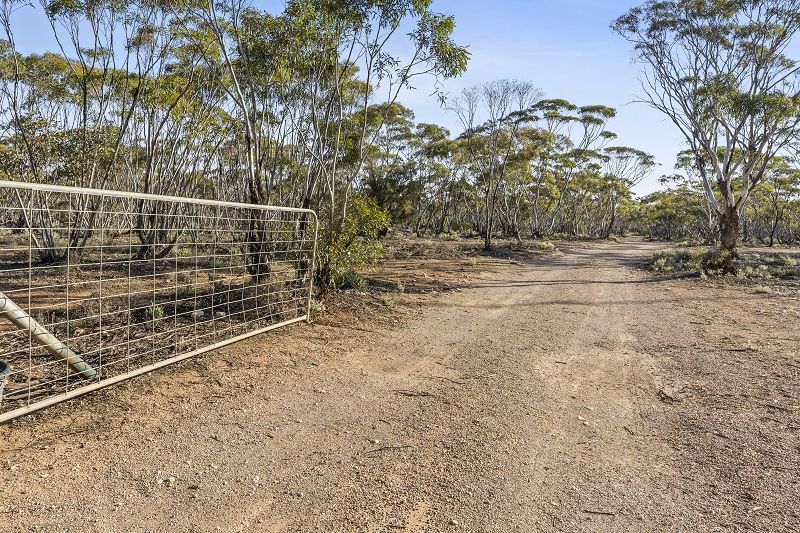 469 Bedrock Road, Swan Reach SA 5354 House for Sale 389,500