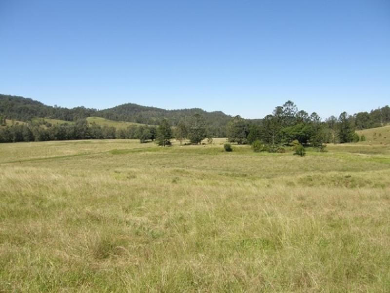 Lots 195 & 178 Smiths Creek Road, Copmanhurst NSW 2460, Image 1