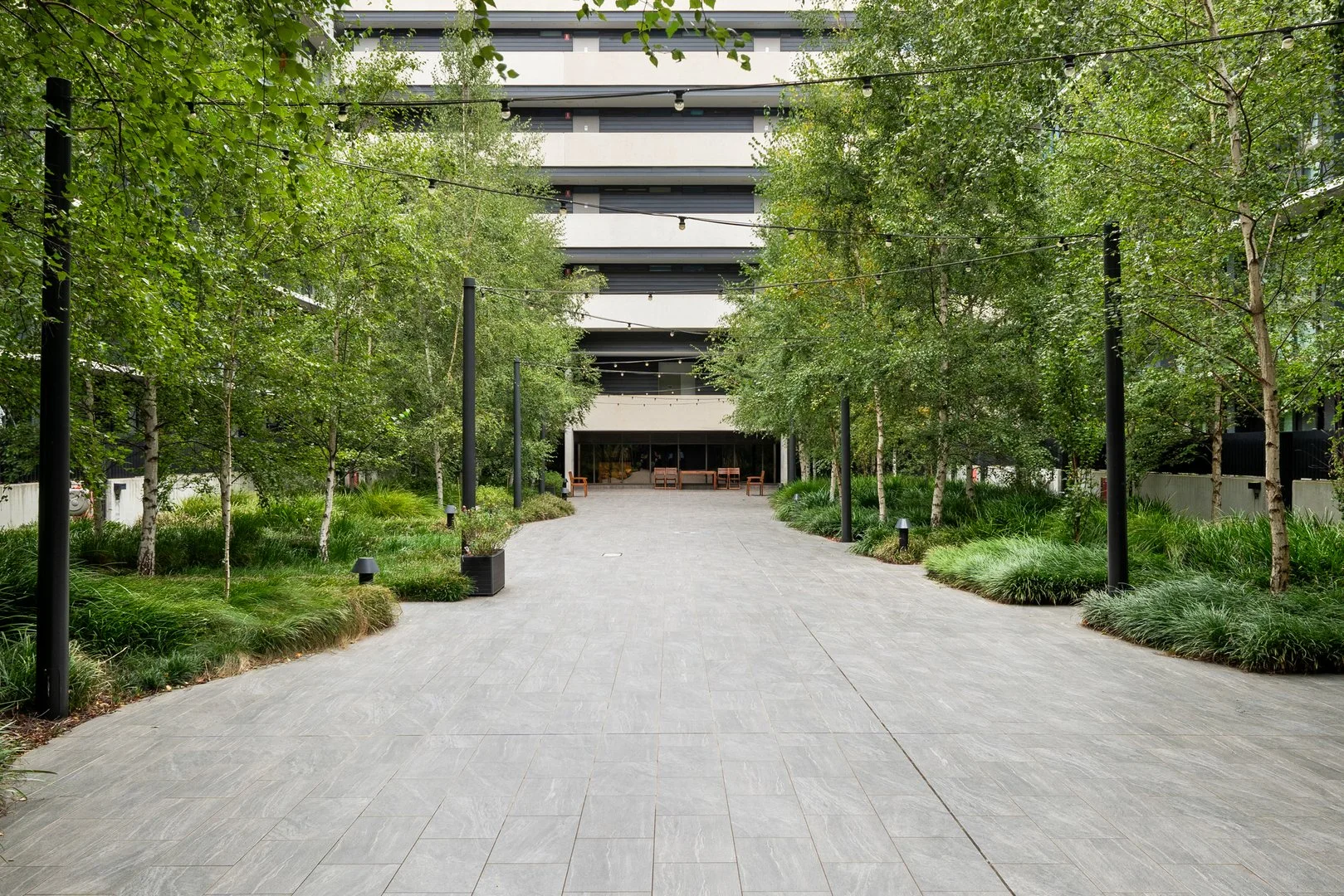 Image 15