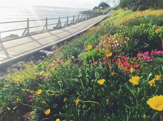 Additional image 12 of 2/25 Allens Pde, Lennox Head NSW 2478