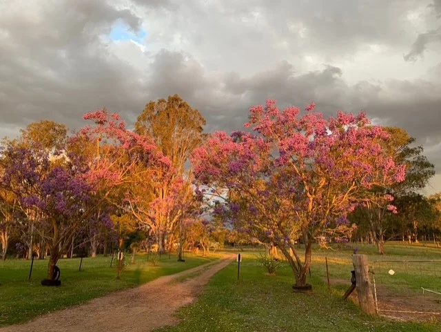 Additional image 31 of 1961A Armidale Road, Coutts Crossing NSW 2460