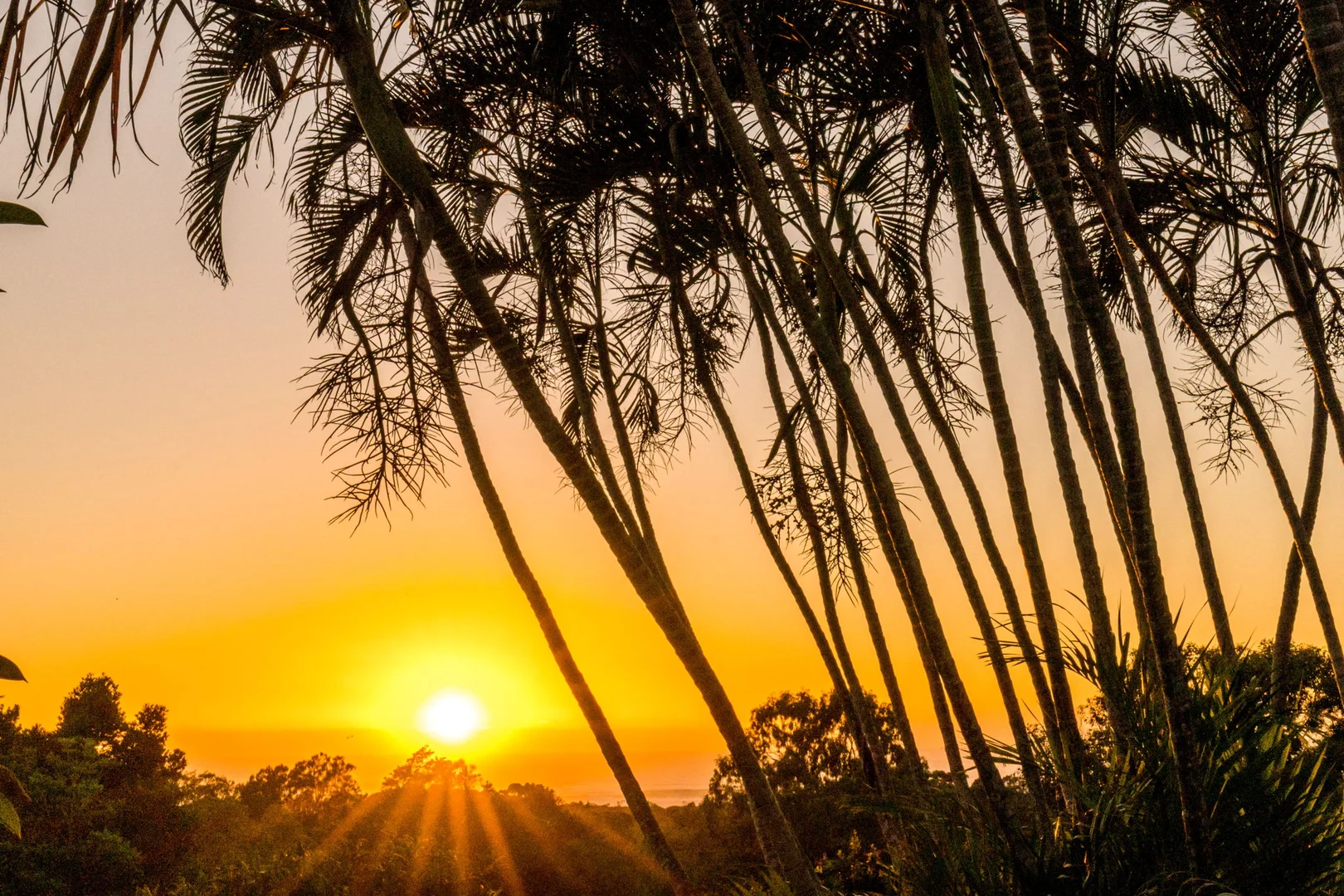 Additional image 5 of 4 Yackatoon Court, Ocean Shores NSW 2483