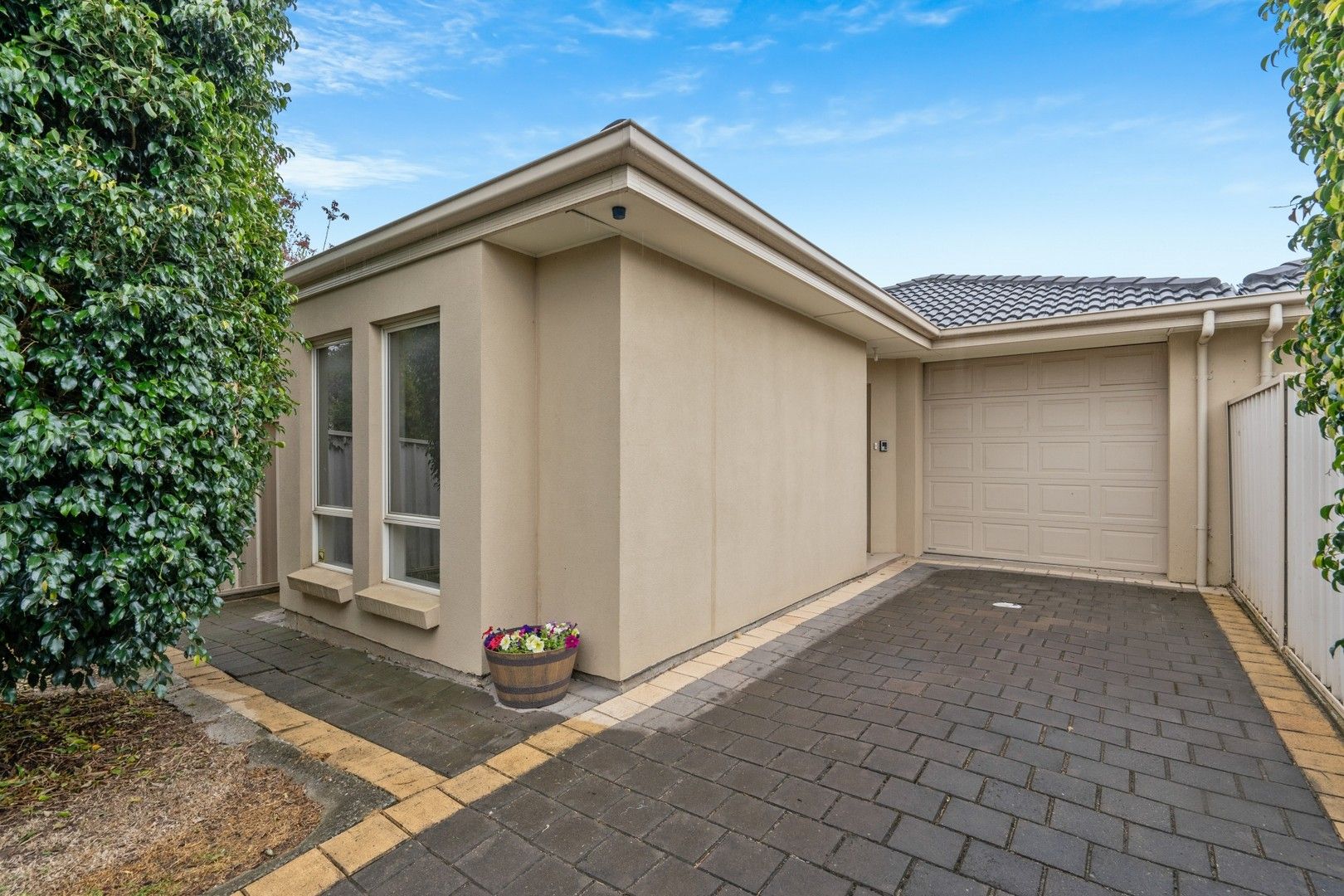 6 Lassie Avenue, Windsor Gardens SA 5087, Image 0