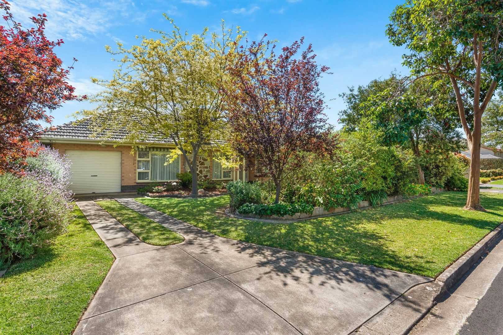 16 Mimosa Drive, Vale Park SA 5081, Image 0