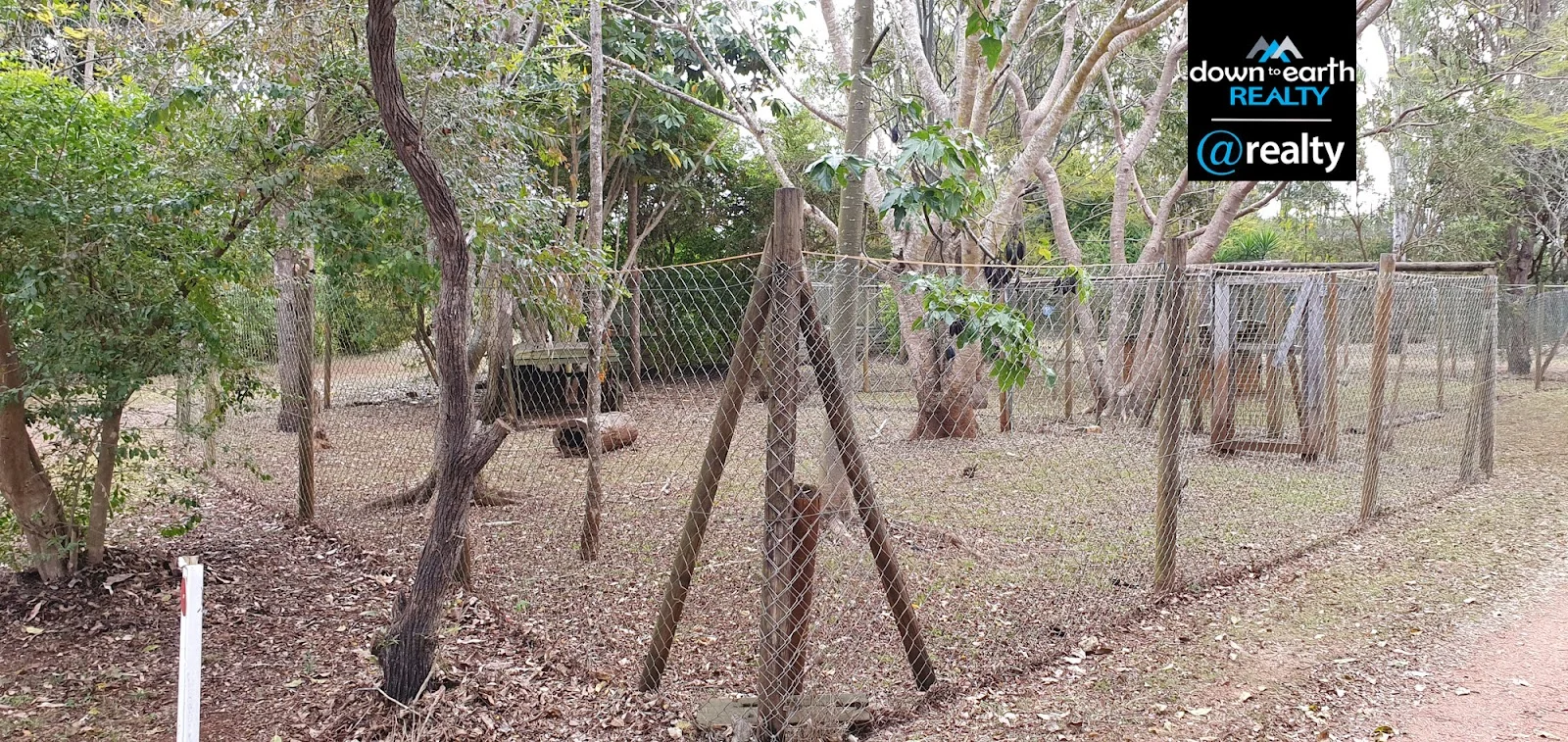 Image 65