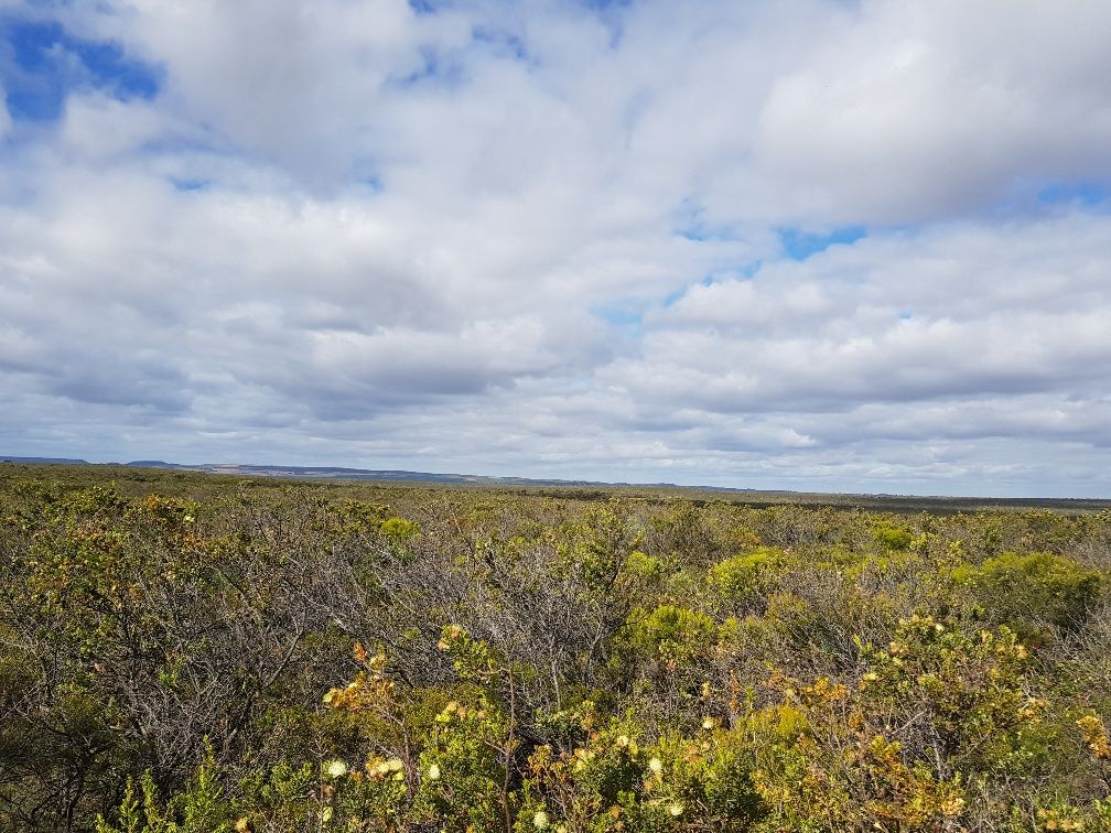 277 PREMIER Drive, Jurien Bay WA 6516 Vacant Land for Sale 580,000