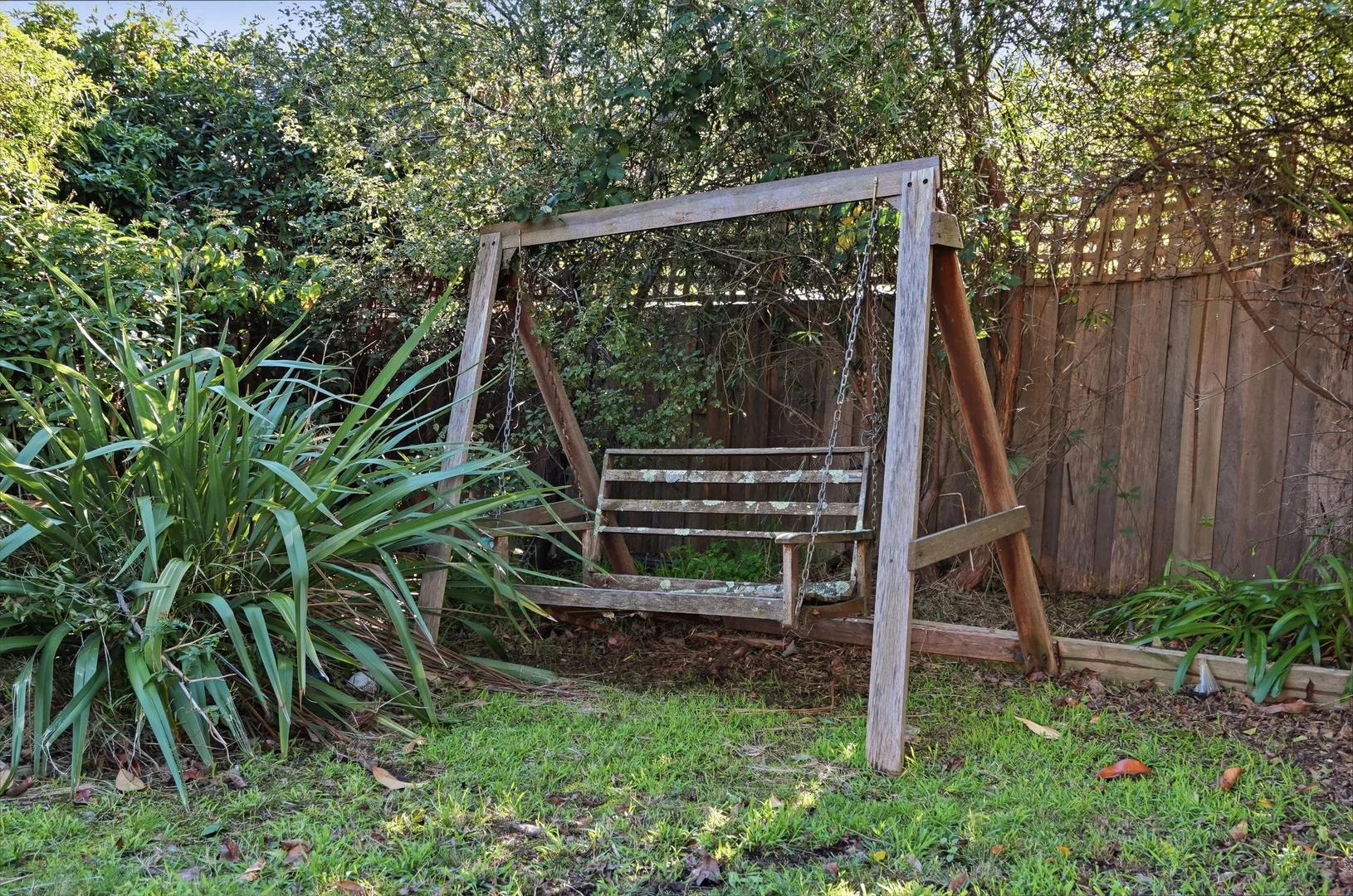 Image 31