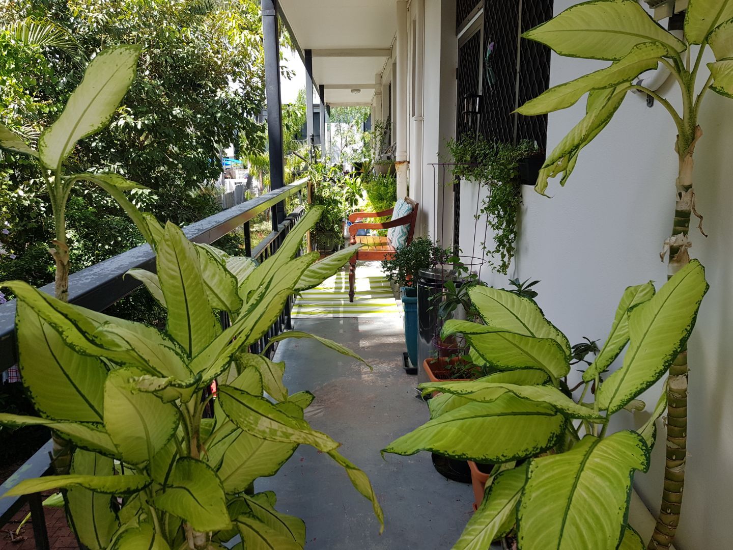 2/328 Casuarina Drive, Rapid Creek NT 0810 Apartment For Rent Domain