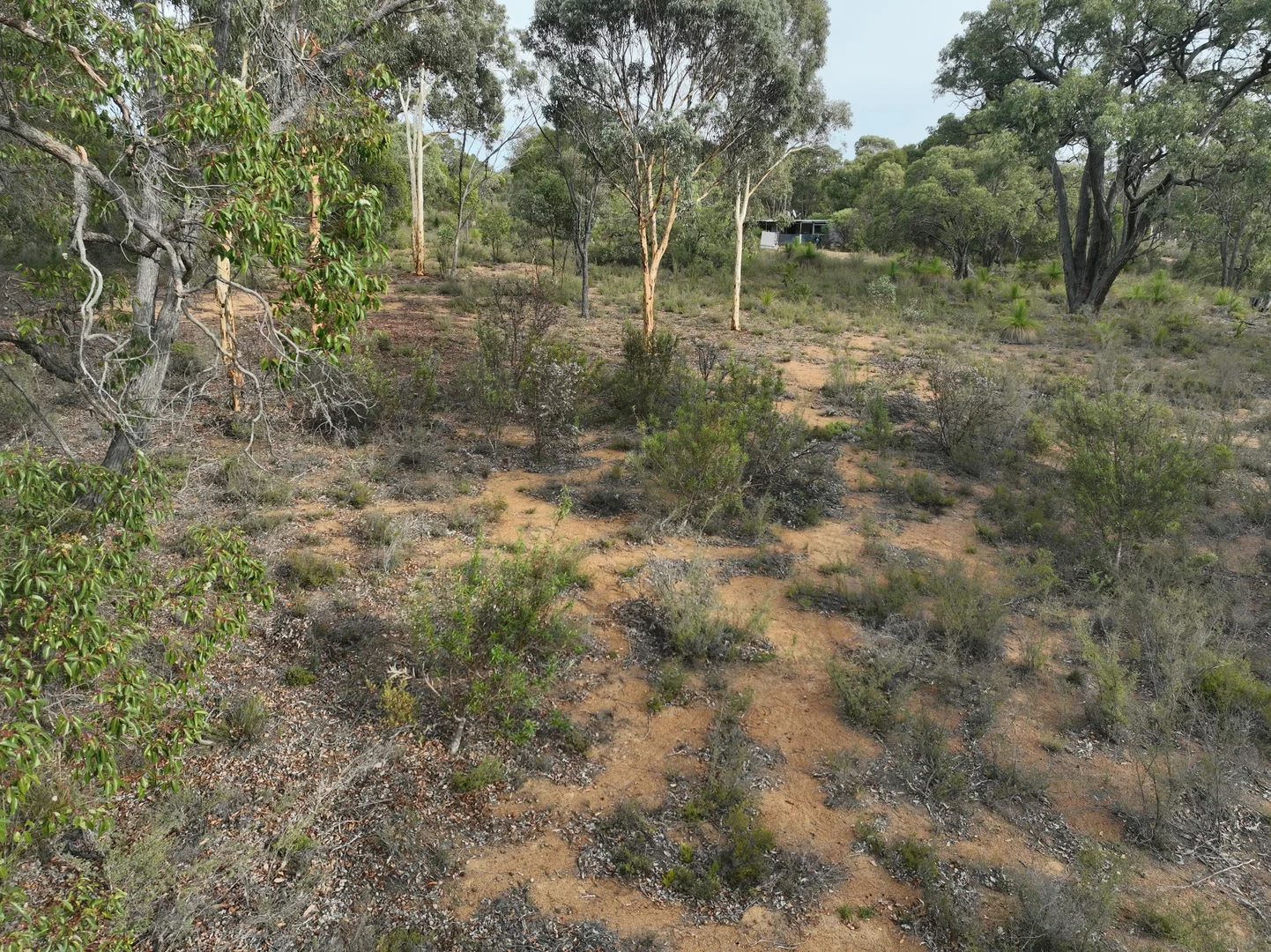 Image 16