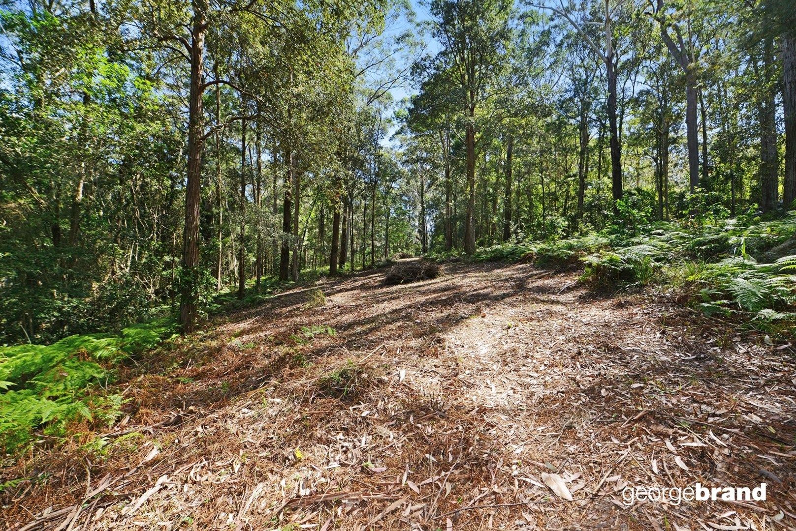 777 The Scenic Road, Macmasters Beach NSW 2251, Image 0