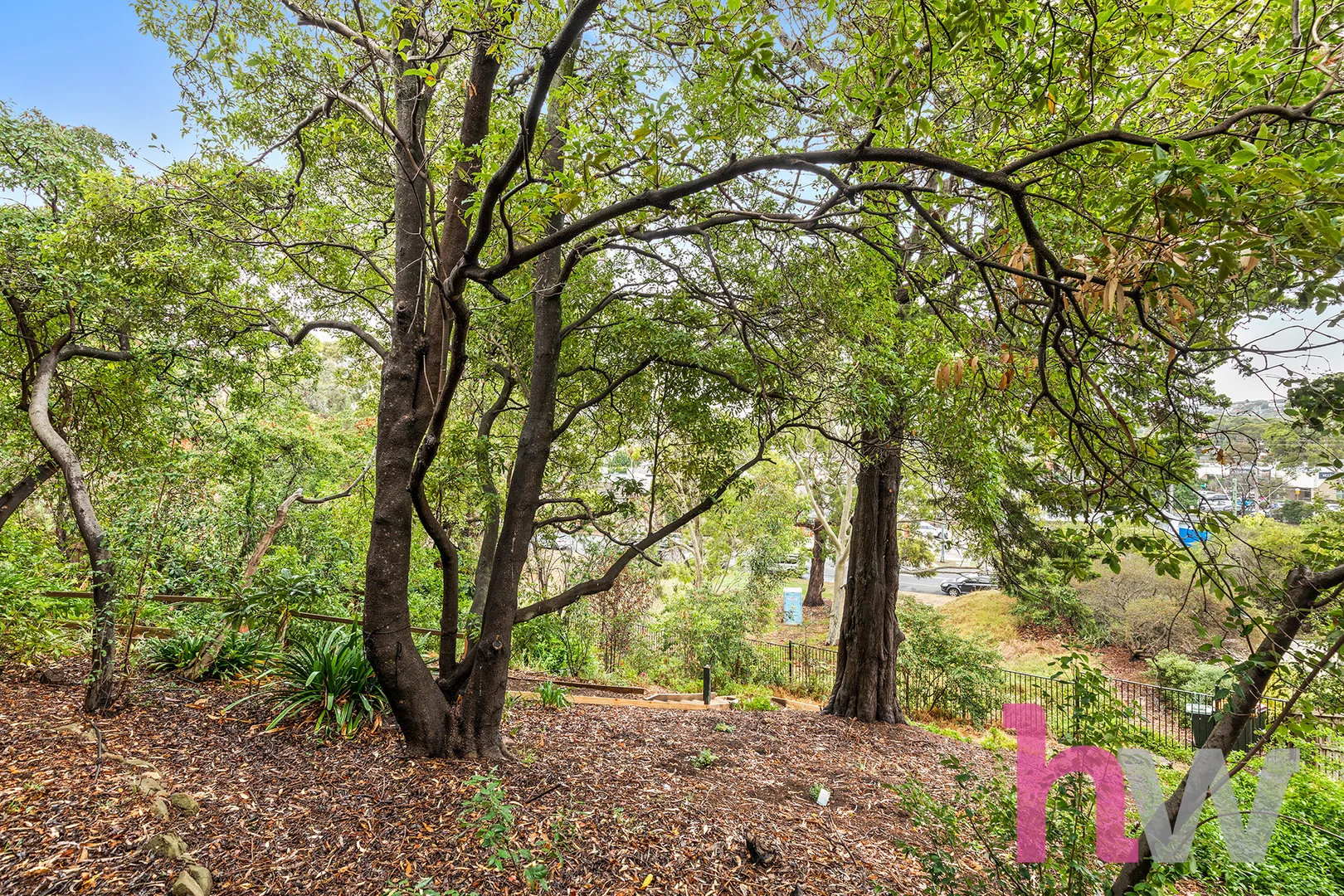 Additional image 16 of 10 Sanglen Terrace, Belmont VIC 3216