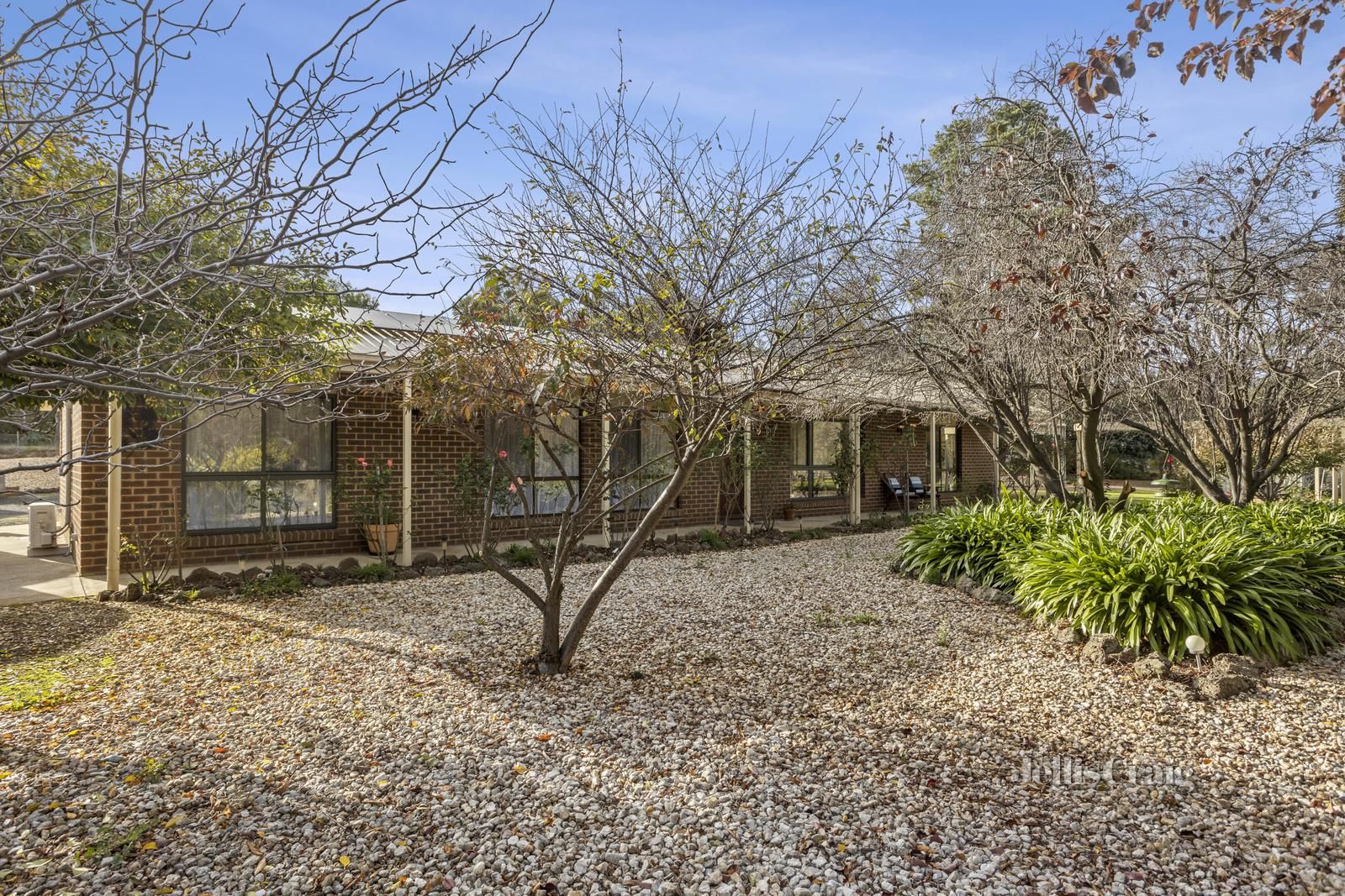 492 Maldon Newstead Road, Welshmans Reef VIC 3462 Domain